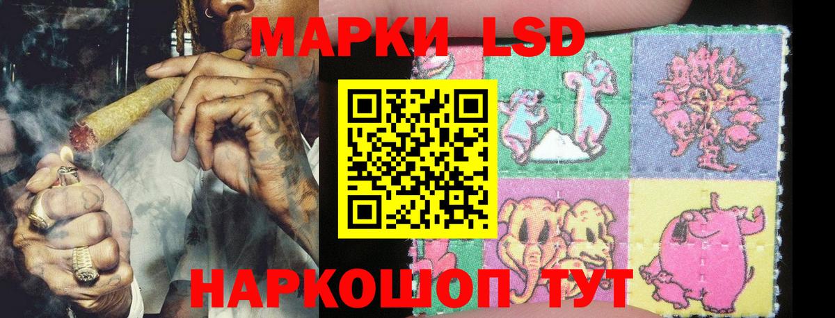 как найти закладки  Марки N-bome  Вход с VPN  Марки NBOMe 1,5мг  Новодвинск 